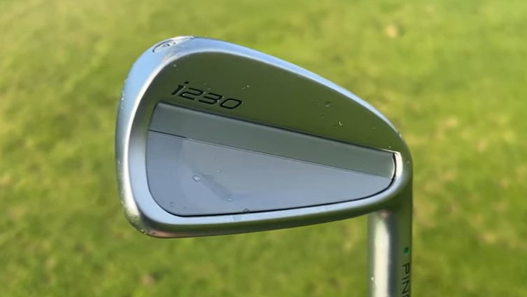 Are they the PERFECT CLUBS? PING i230 Irons Review